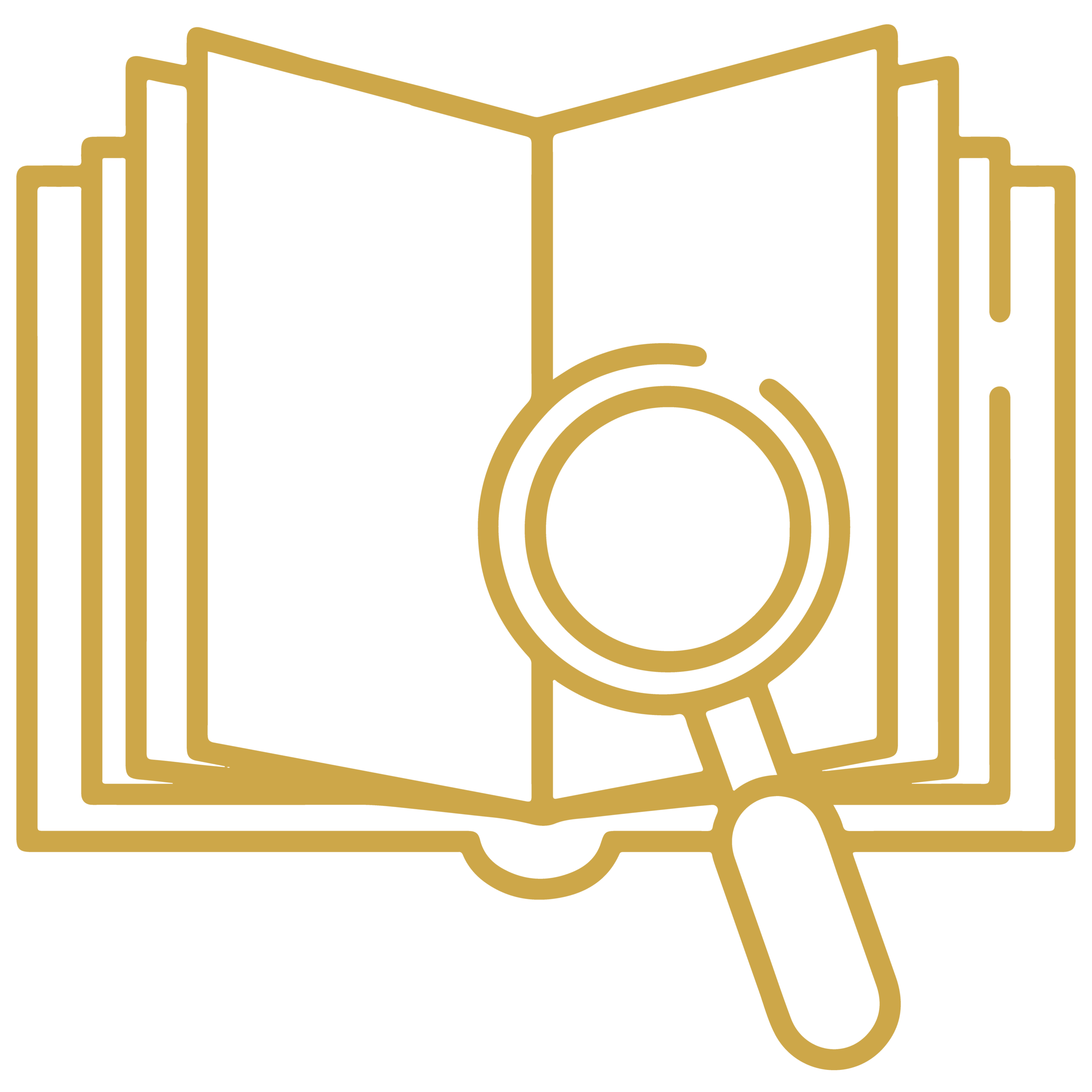 Reporting & Findings
